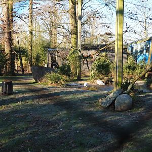 Eurasian spoonbill - Little egret - Red-billed blue magpie (Jan 20th, 2019)