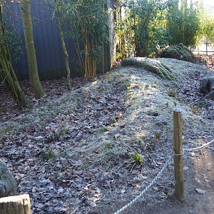 Sleeping giant landscaping (Jan 20th, 2019)