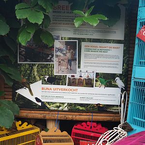 Silent Forest campaign sign (Jan 20th, 2019)