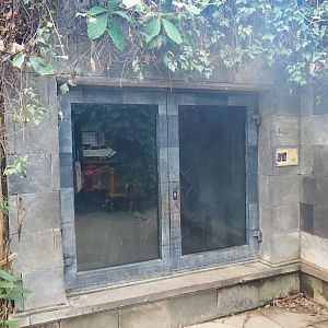 Black rat exhibit (Jan 20th, 2019)