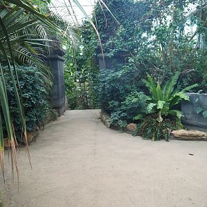 View in the Asian greenhouse (Jan 20th, 2019)