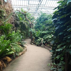 View in the Asian greenhouse (Jan 20th, 2019)