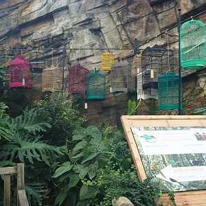 Silent Forest campaign materials (Jan 20th, 2019)