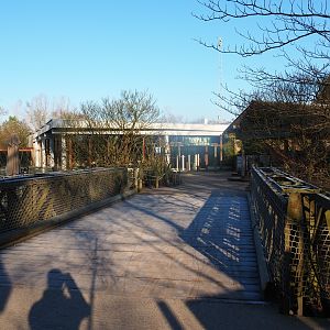 View towards restaurant "Threeshrew" (Jan 20th, 2019)