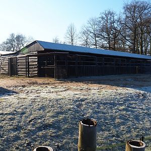 Bactrian camel paddock (Jan 20th, 2019)