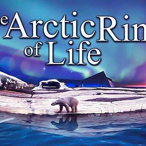 Zoo Tours: The Arctic Ring of Life