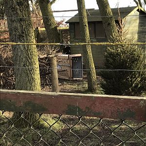 Michle's tufted deer crate training