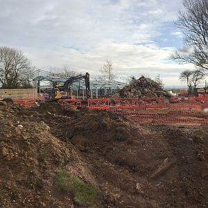 New tiger enclosure development