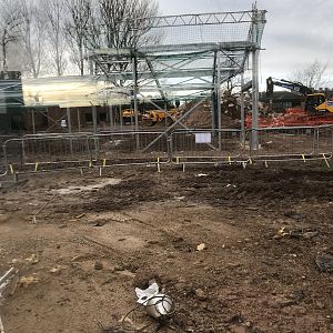 New tiger house steel works