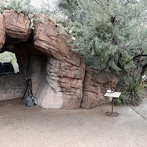 puma exhibit and walkway