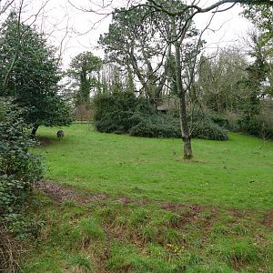 Darwin's Rhea enclosure, February 2019