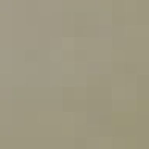 Yellow spotted hyrax