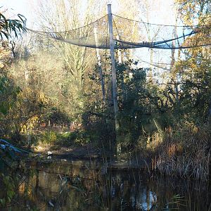 Australian waterside aviary (Nov 18th, 2018)