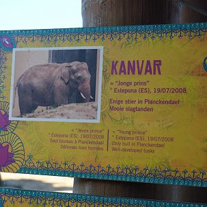 Asian elephant identification sign - Kanvar (Nov 18th, 2018)