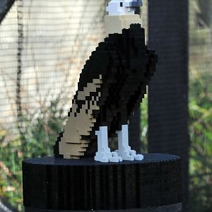 Lego European Black Vulture