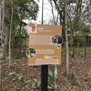 Okapi Signage