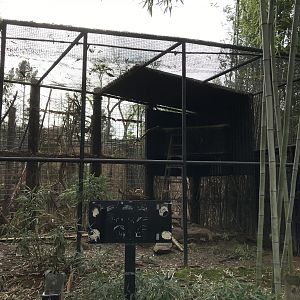 Jaguar Exhibit Construction