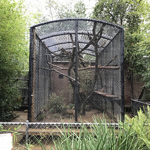 Greater Roadrunner Exhibit