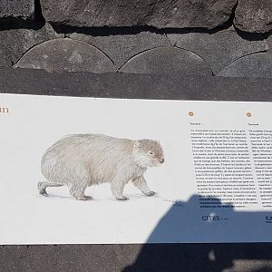 Sign Wombat