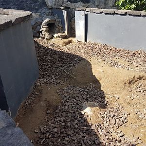 Wombat out-door-enclosure