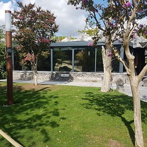 Komodo dragon-enclosure