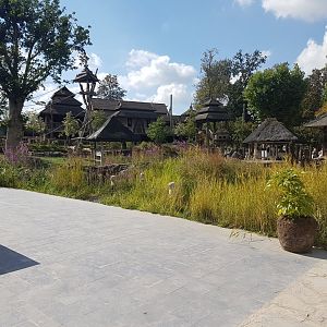 One of the Orang utan enclosures