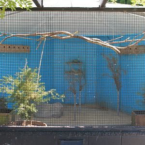 Riddiford Garden aviary