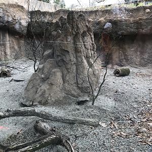Meerkat Exhibit