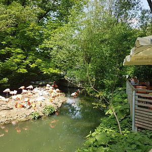 Flamigo Island with a View Poit