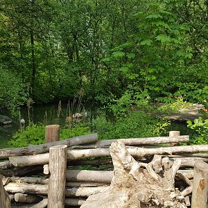 Natural Barrier for Flamingos