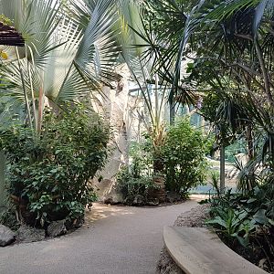 Pathway, Jungle Pavilion