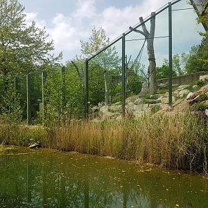 Outdoor Chimpanzee Exhibit