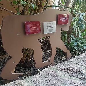 Signage, Jungle Pavilion
