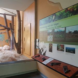 Orangutan Signage, Monkey World