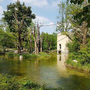 Siamang Outdoor Exhibit