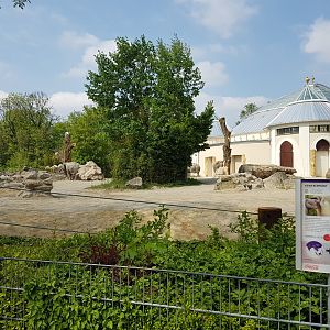 Asiatic Elephant Outdoor Exhibit, female part