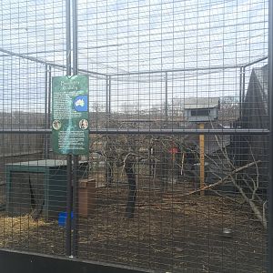 Bennett's Wallaby Enclosure