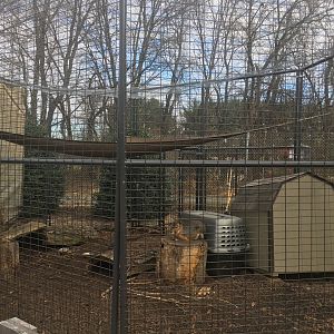 Patagonian Mara Enclosure