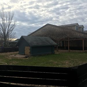Aldabra Tortoise Enclosure