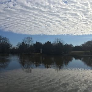 Lemur Island (no access)