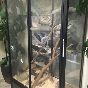 Chinchilla Enclosure