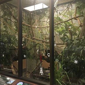 Sloth + Aracari Enclosure