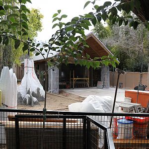 Future squirrel monkey exhibit