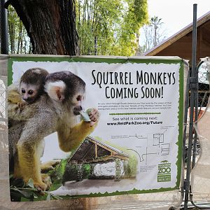 Future squirrel monkey exhibit