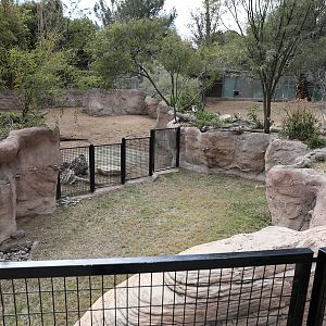 Three exhibits in South America