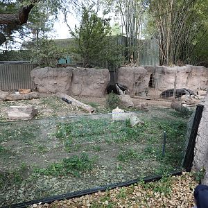 giant anteater exhibit