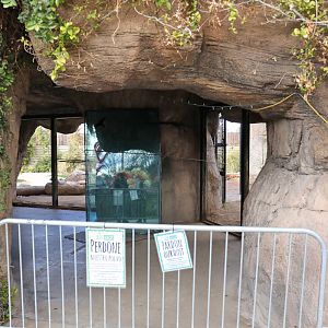 tiger exhibit renovation