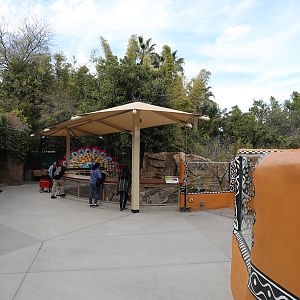 New shade over otter exhibit