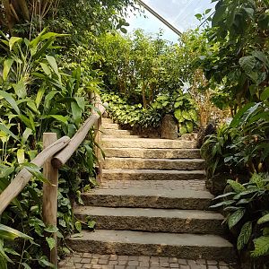 Pathway, Jungle World