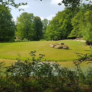 Addra Gazelle Exhibit